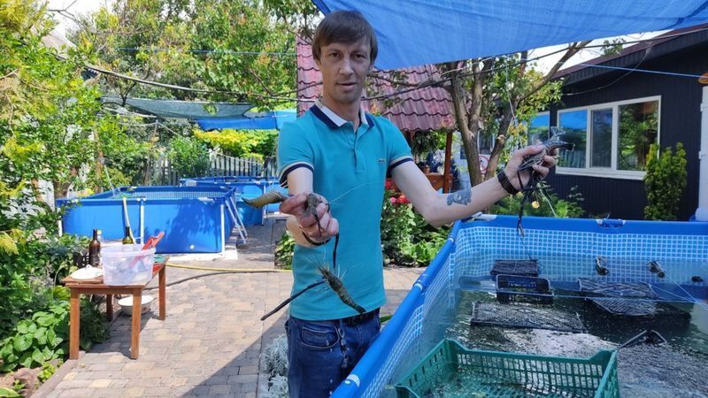 Бизнес организовали несколько друзей.