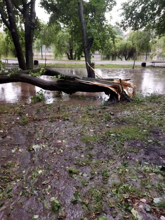 Коммунальщикам пришлось очищать дороги и тротуары