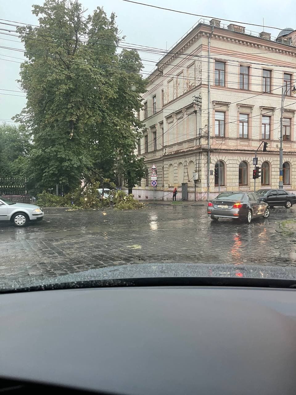 Дерево на тротуаре