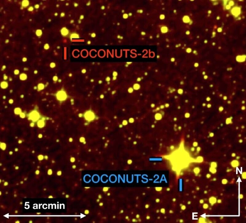 Планета Coconuts-2b та її зірка