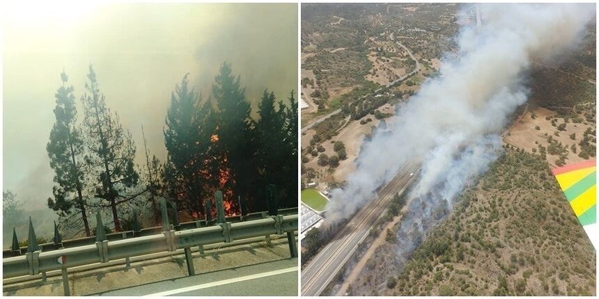 Лісові пожежі на Кіпрі.