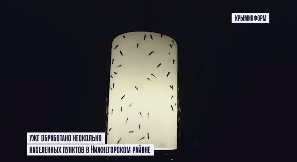 Нашествие комаров в Крыму