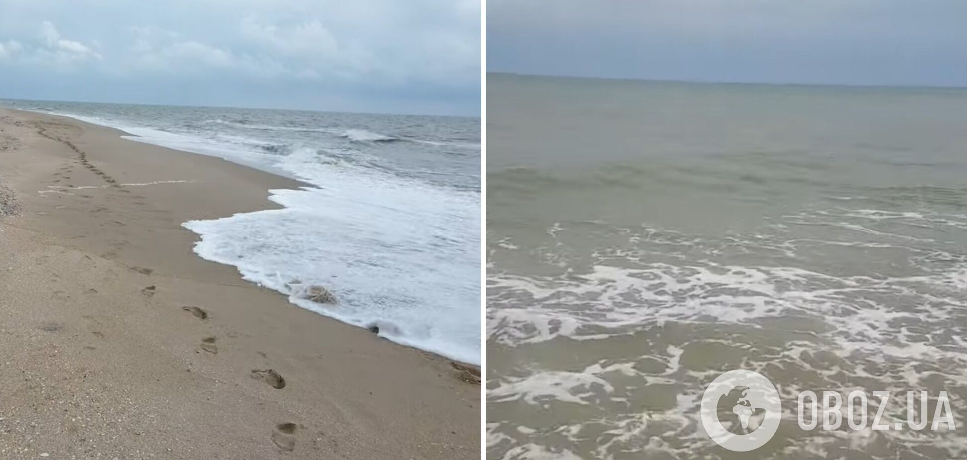 За словами відпочивальників, хвилі викидають медуз далеко на берег