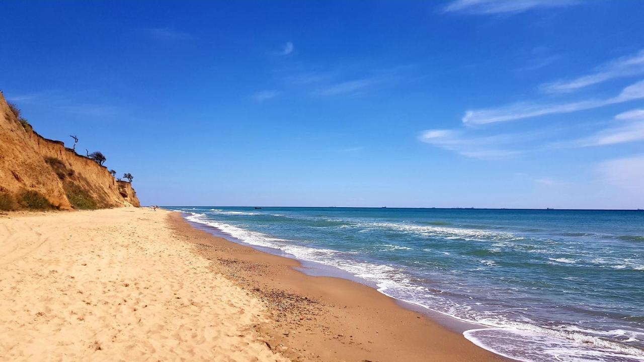 какое море в одессе черное или азовское. Смотреть фото какое море в одессе черное или азовское. Смотреть картинку какое море в одессе черное или азовское. Картинка про какое море в одессе черное или азовское. Фото какое море в одессе черное или азовское