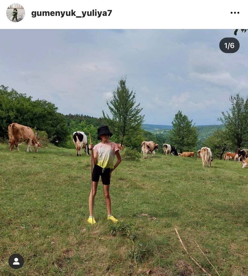 Фото с коровами