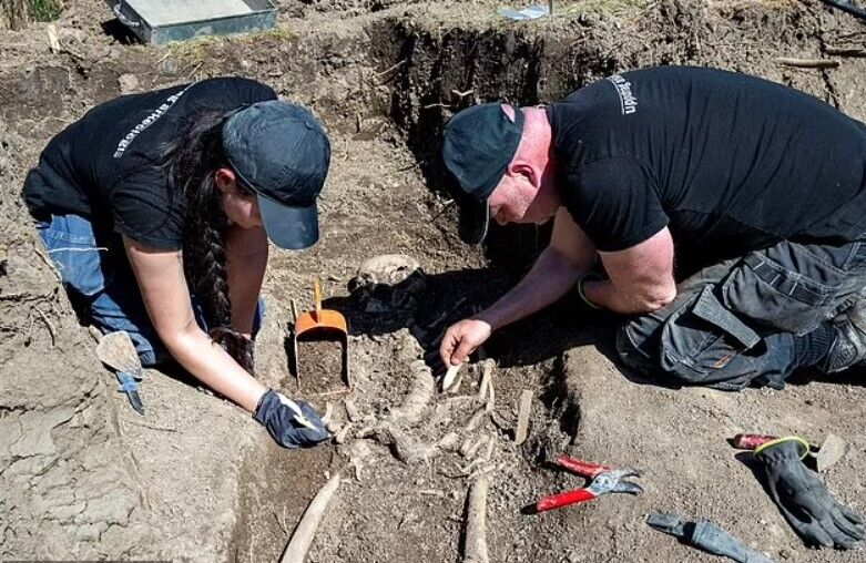 Розкопки поховань у місті Сигтуна