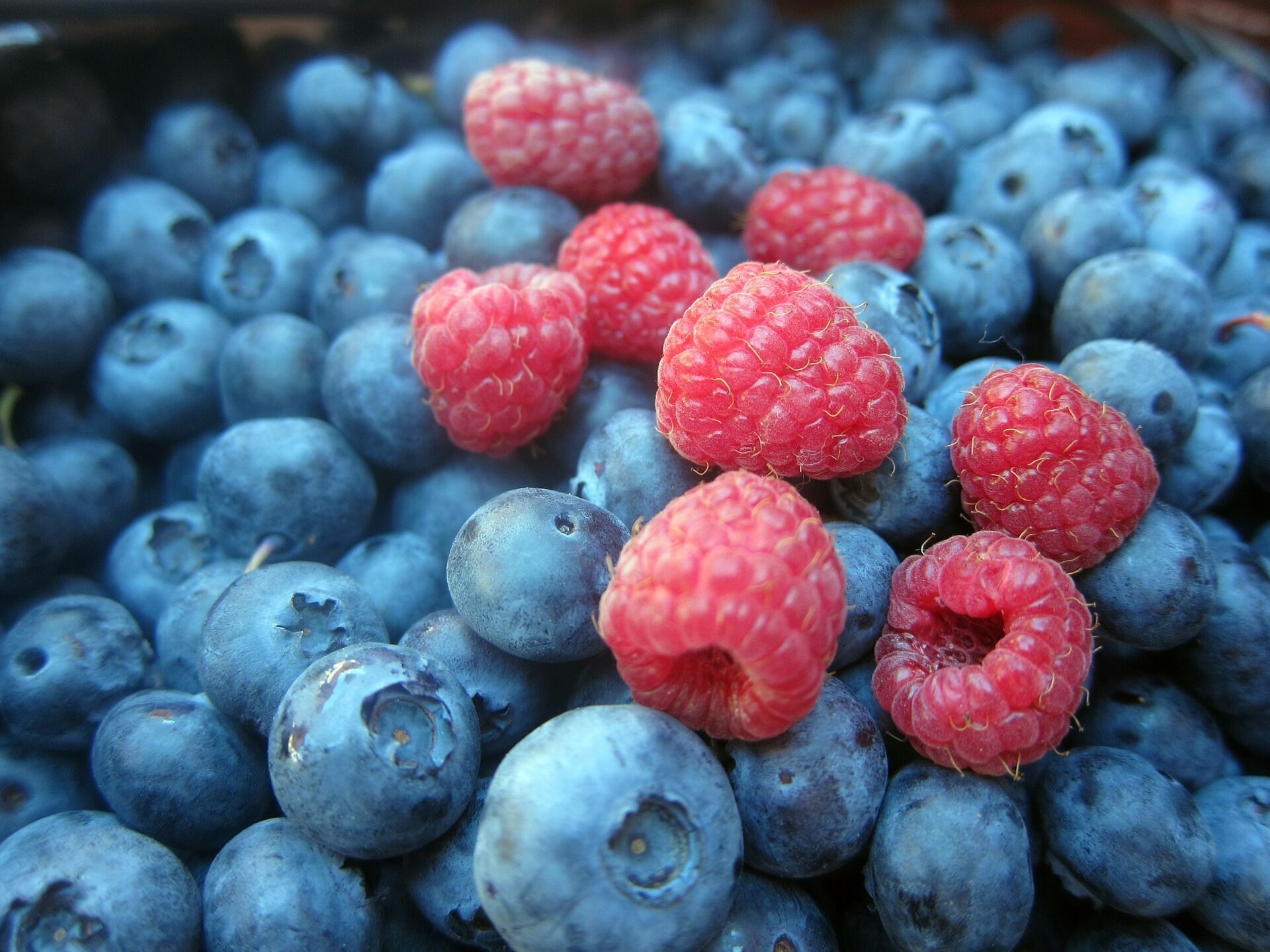 Украина заработала на экспорте плодов и ягод сотни миллионов долларов
