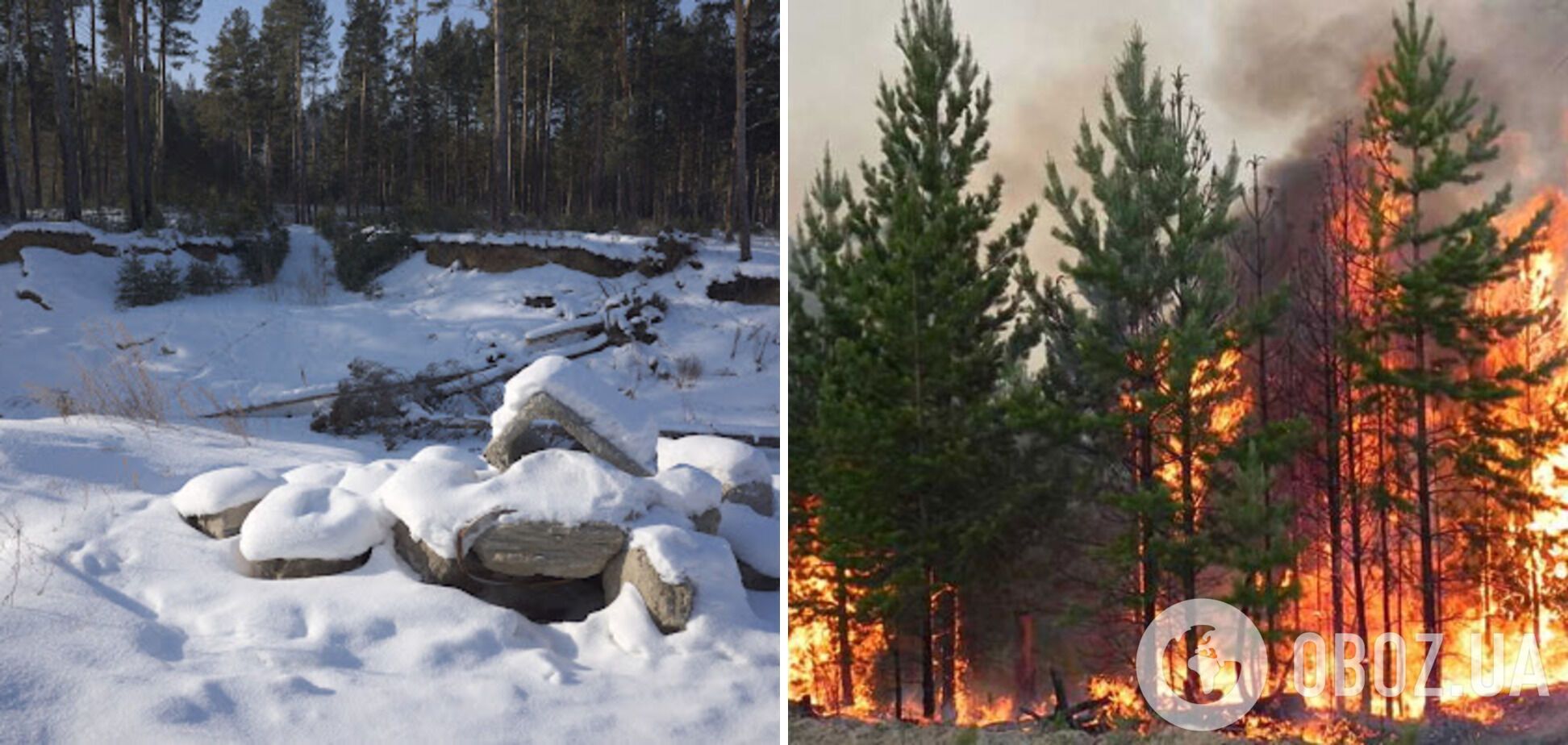 Через нестачу снігу навесні можуть виникати пожежі.