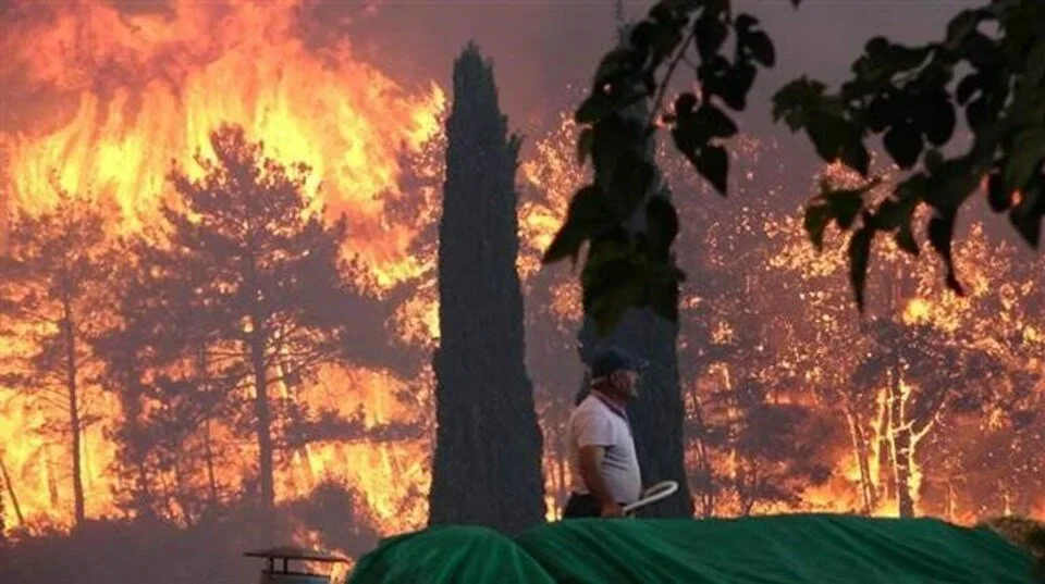 Масштабні лісові пожежі в Туреччині