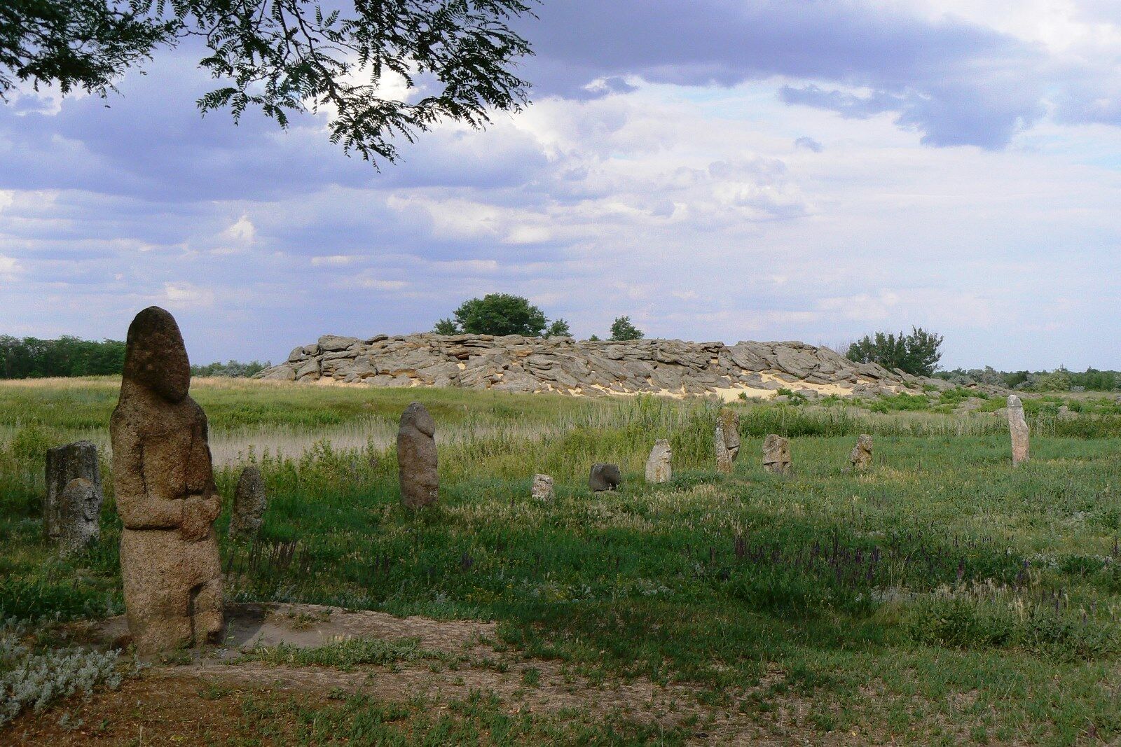 Національний історико-археологічний заповідник "Кам’яна могила"