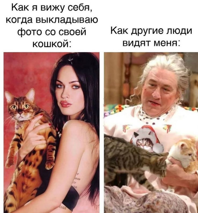 Фото с кошкой