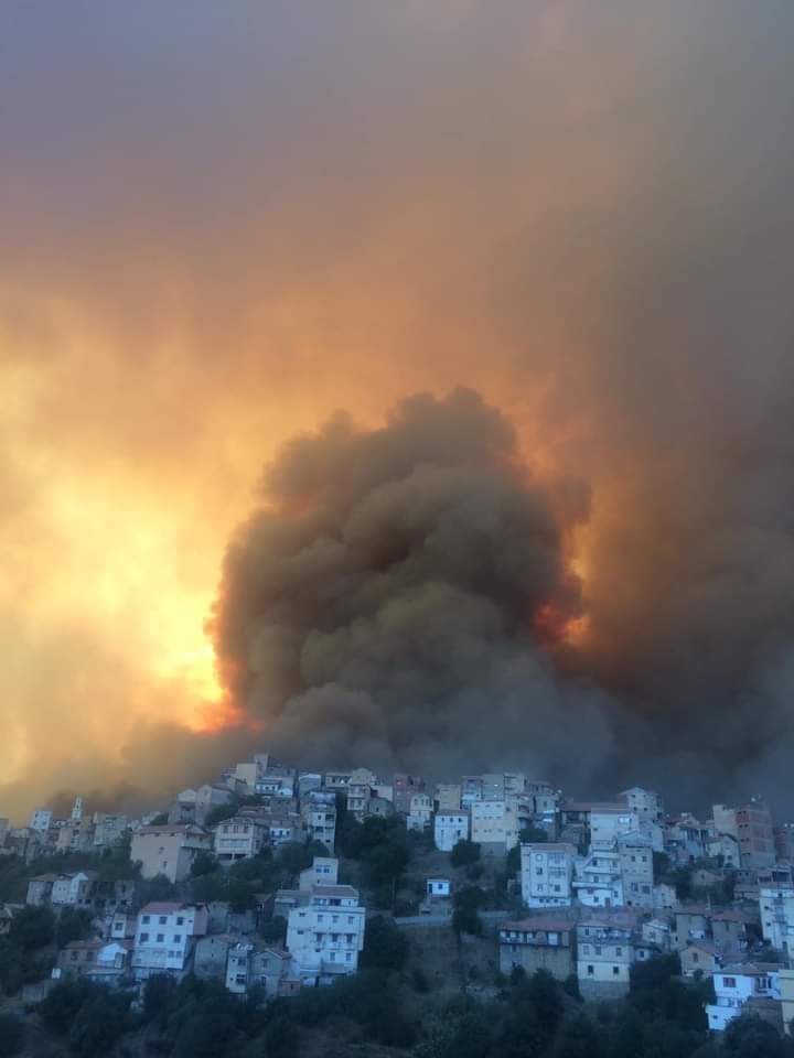 В лесных пожарах в Алжире погибло 42 человека, в том числе 25 солдат.