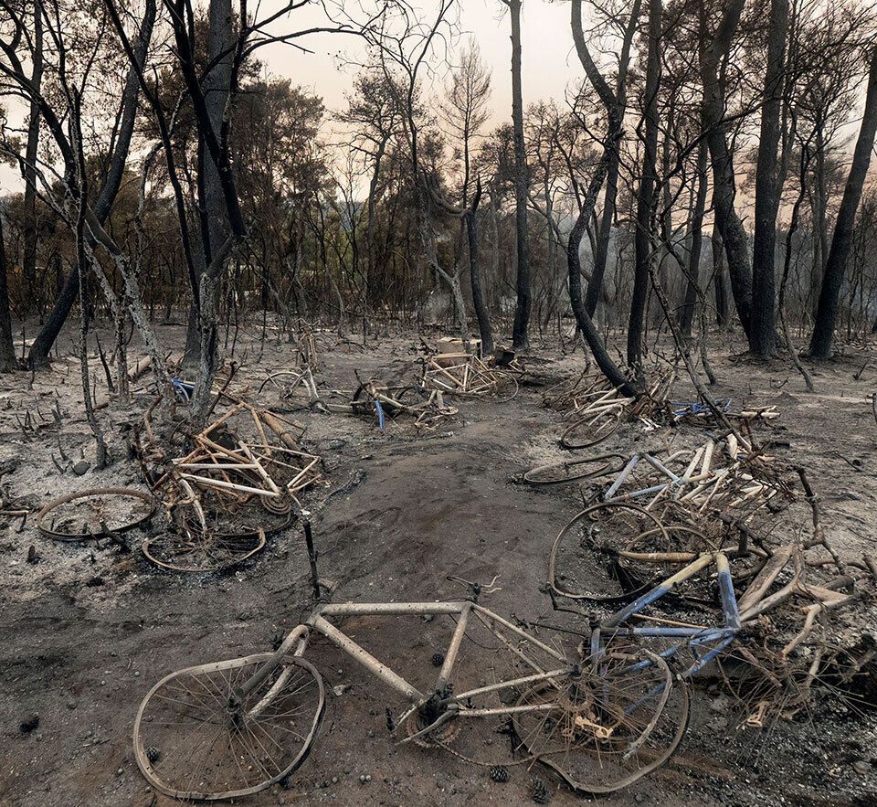Из-за пожара сгорел лес.