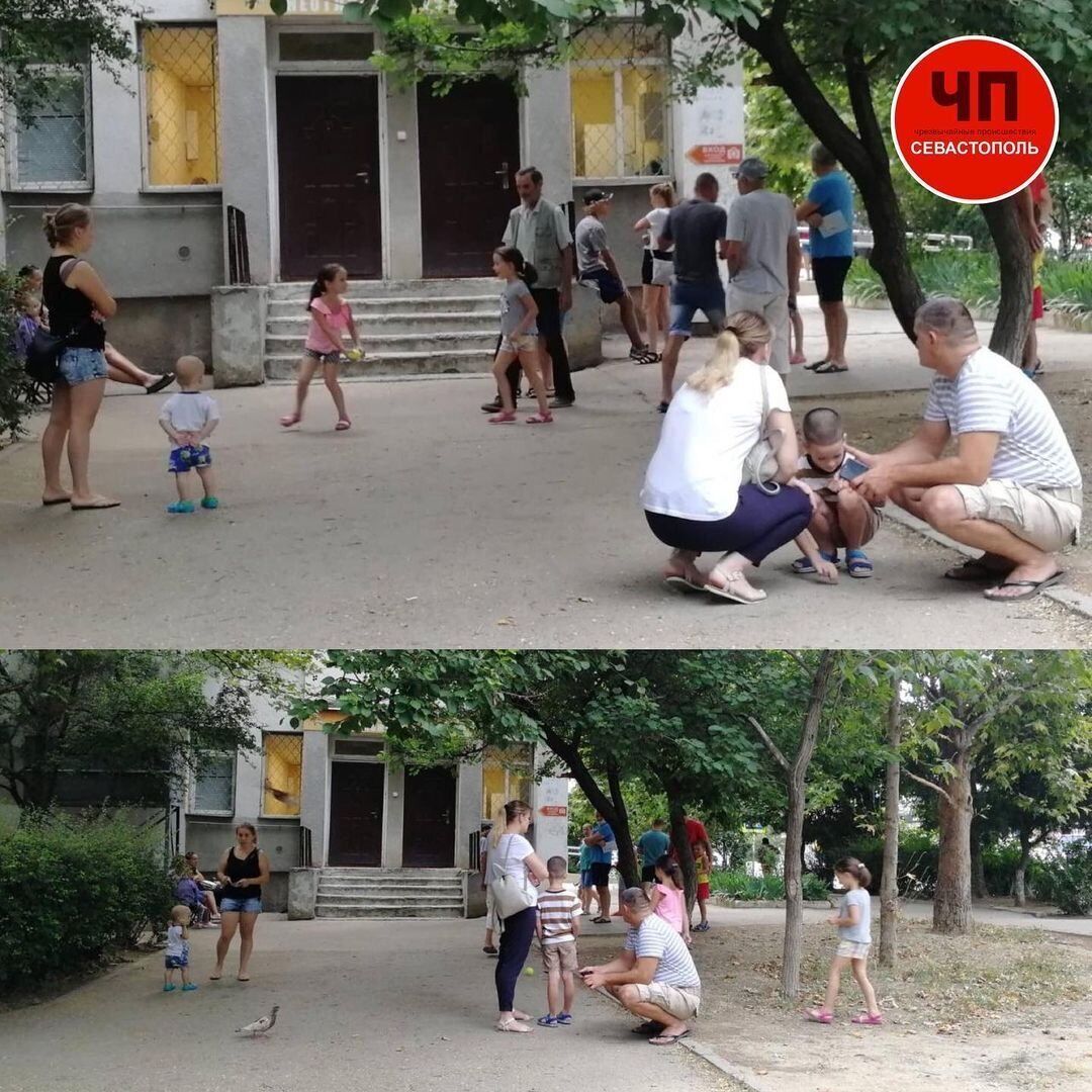 Новости Крымнаша. "Надеюсь увидеть, как они будут снимать унитазы с оставшихся пунктов пропуска"