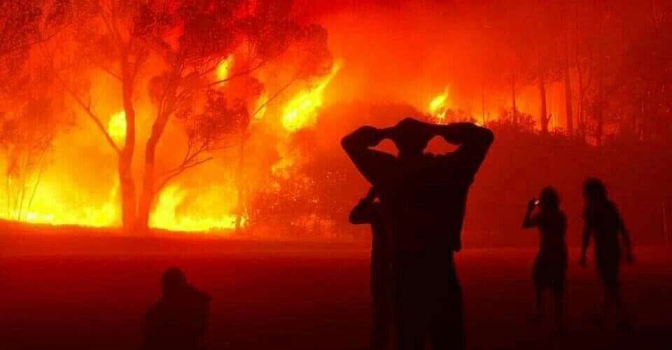 В Алжирі через масштабні лісові пожежі небо стало червоного кольору, загинули десятки людей. Фото і відео
