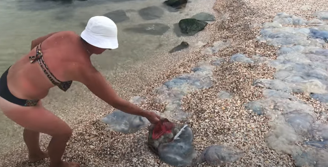 Люди вылавливают медуз пакетами