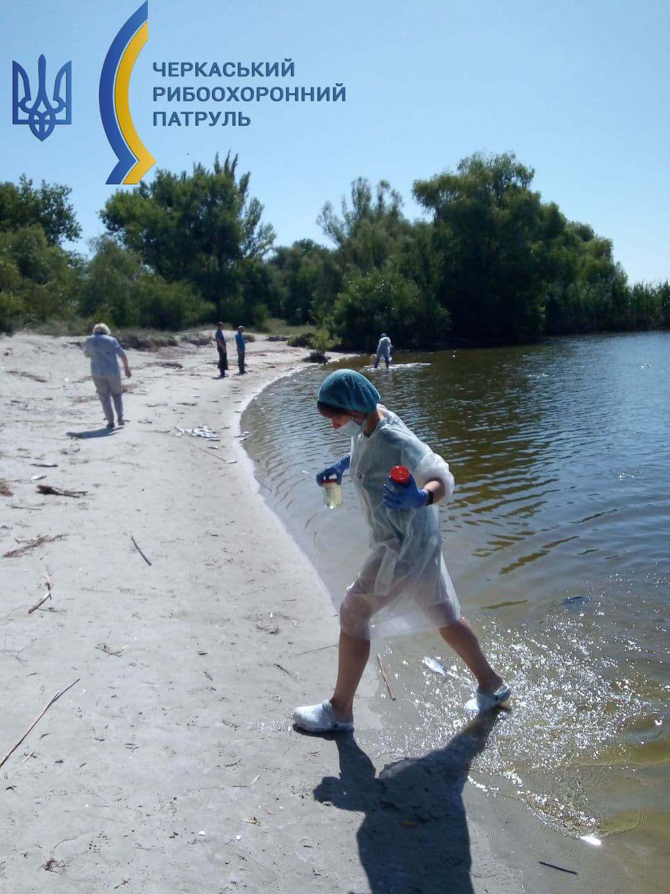 Очікуються результати лабораторних досліджень води та зразків загиблої риби