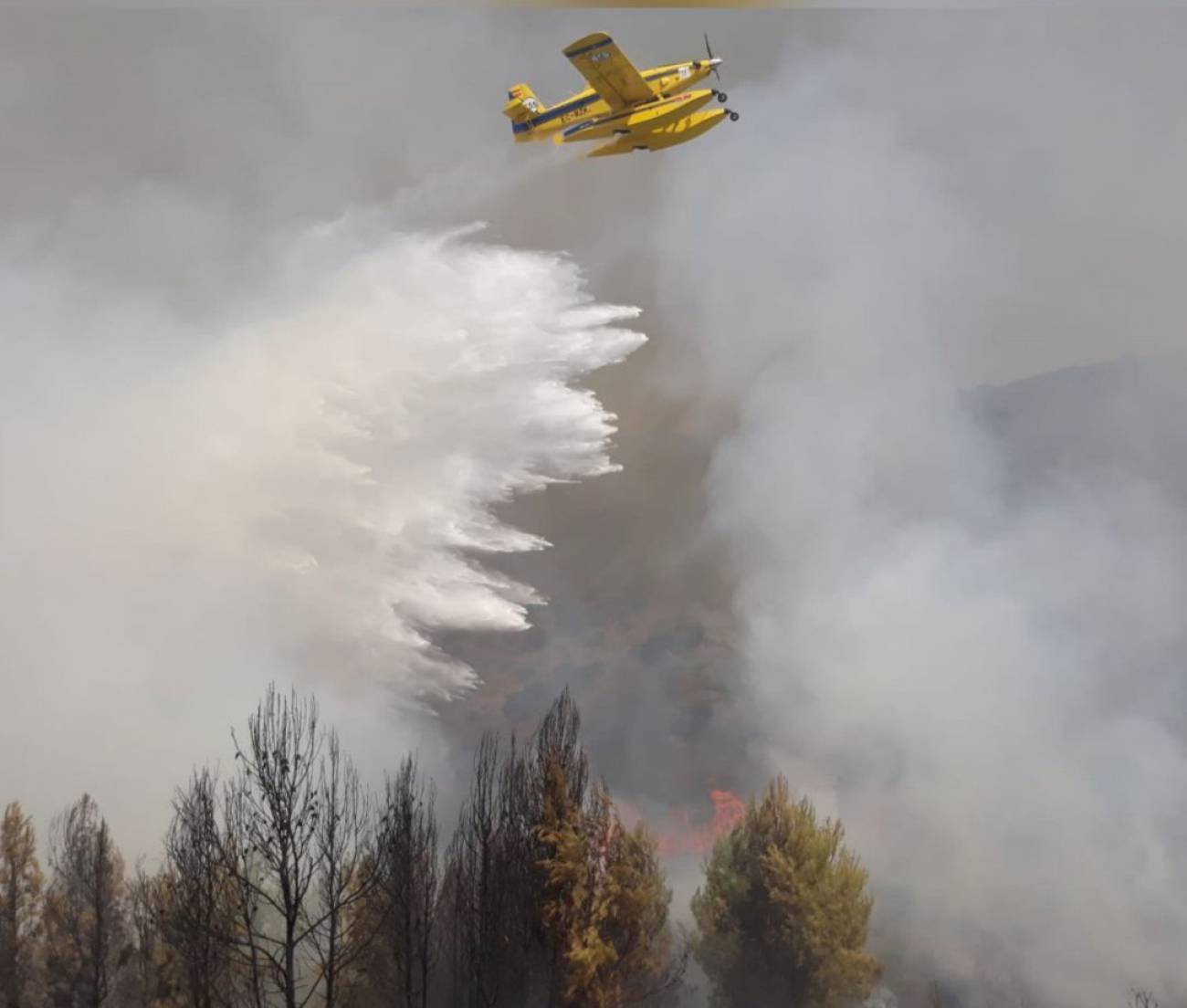 Два самолета, вертолет и около 200 пожарных отправили в провинцию Авила.