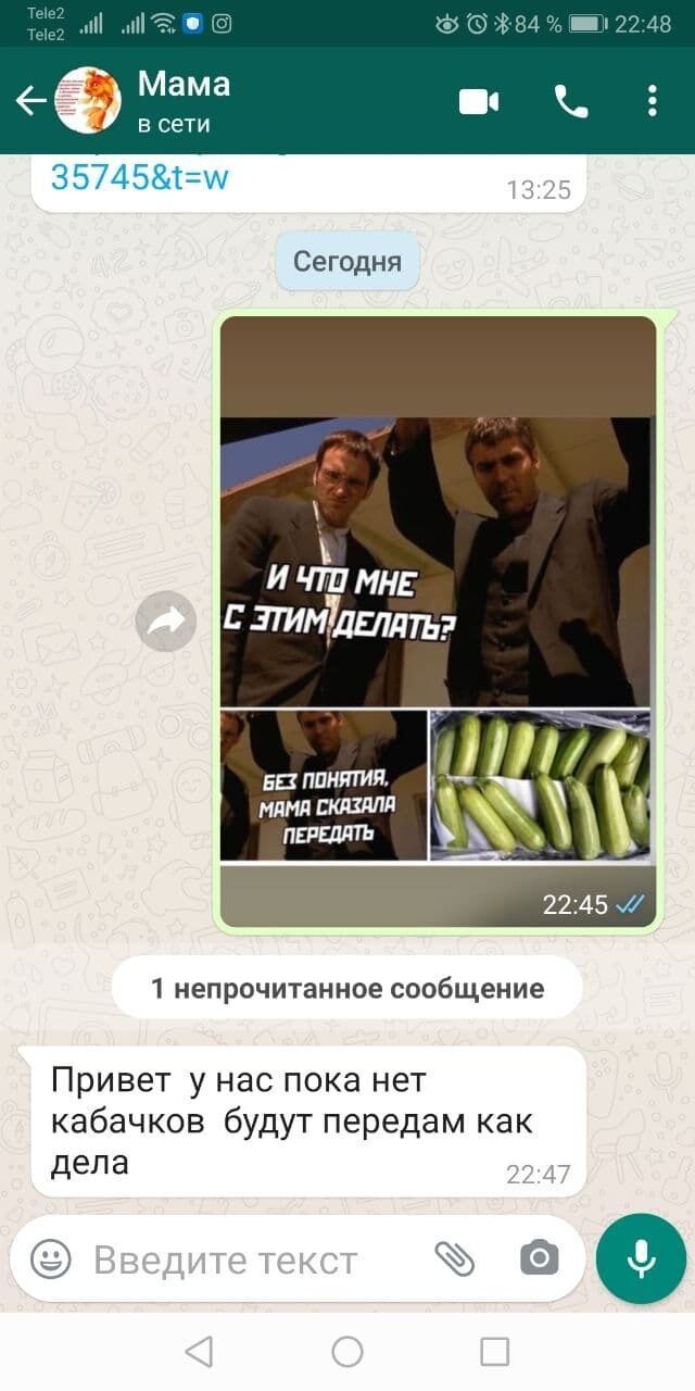 Когда мама передала кабачки