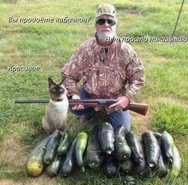 Мем о кабачках