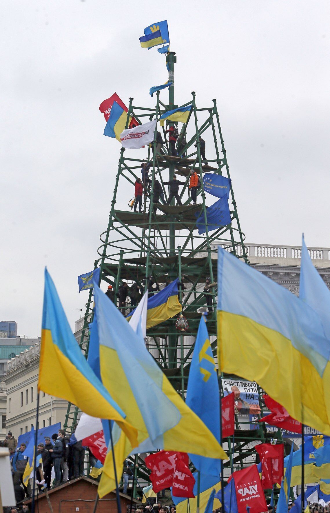 Новогодняя елка на Майдане, 1 декабря 2013 года