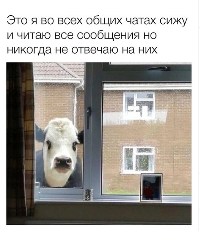 Мем о переписке