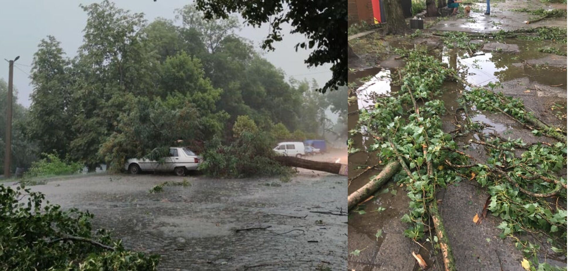 В Ужгороді дерево впало на авто, постраждав водій