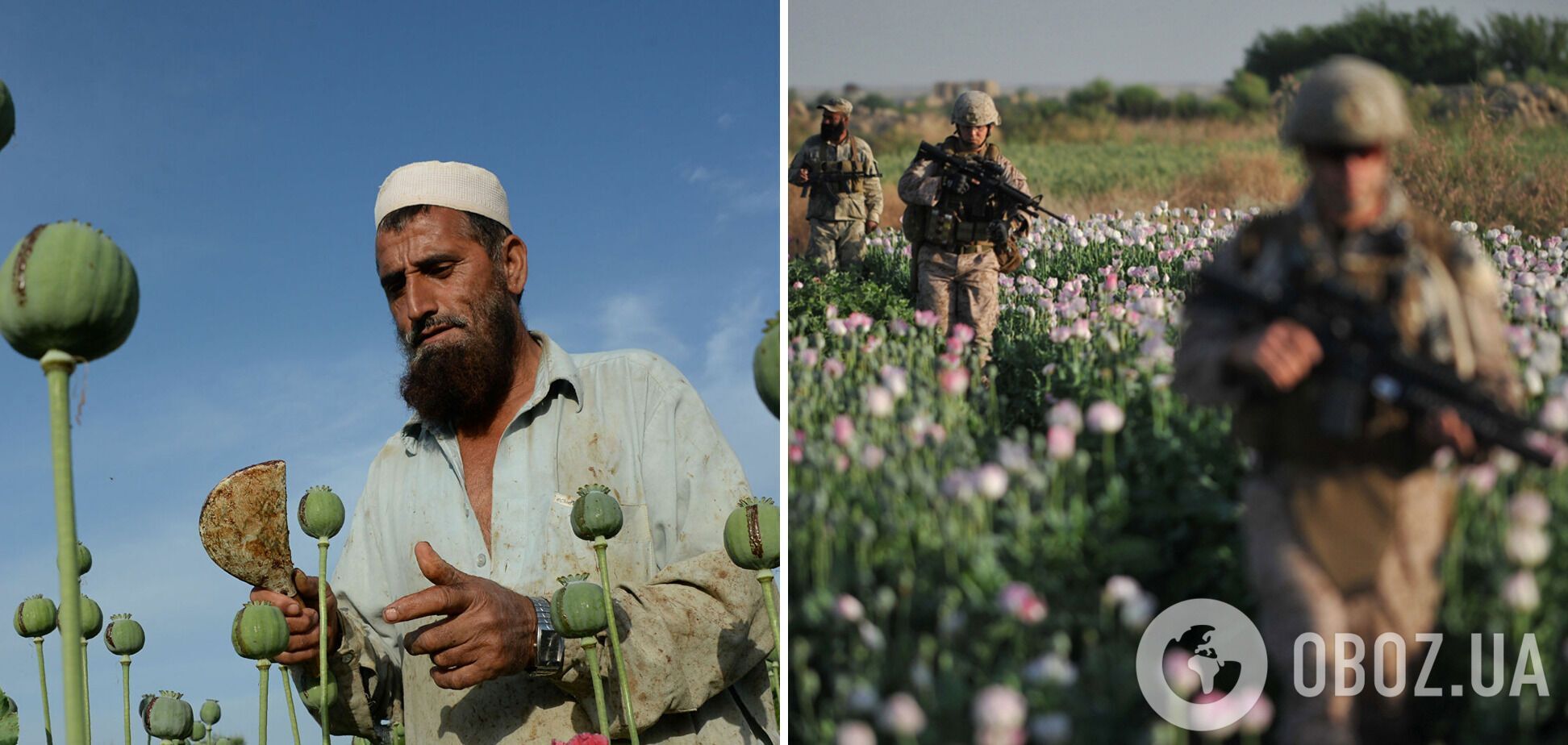 Еще одна опасность для России – наркотрафик из Афганистана