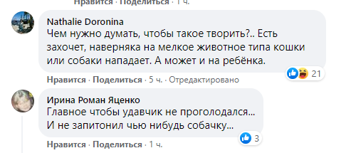 Реакция киевлян на пропажу удава.