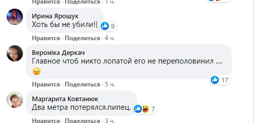 Реакция киевлян на пропажу удава.