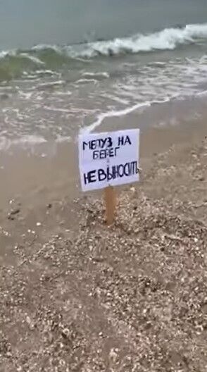 В Кирилловке нельзя выносить медуз на берег.