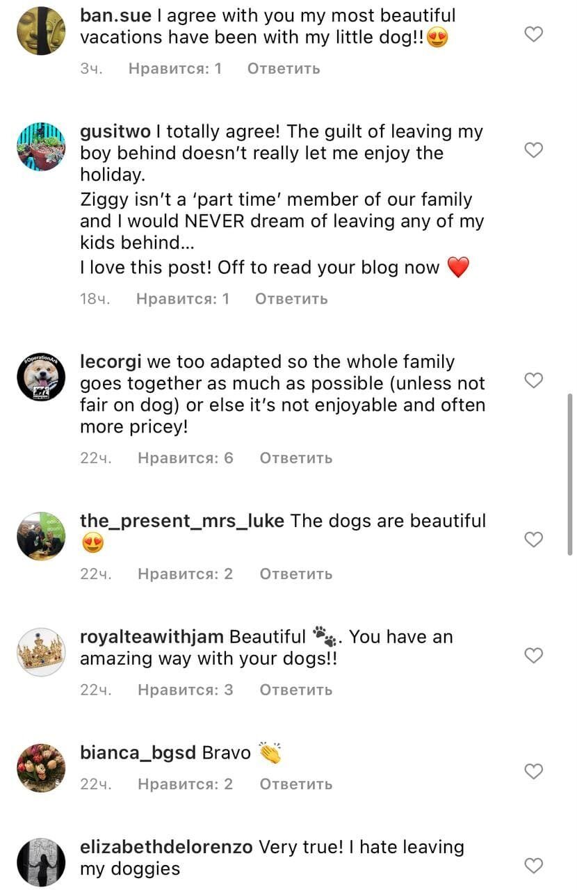 Скріншот коментарів.