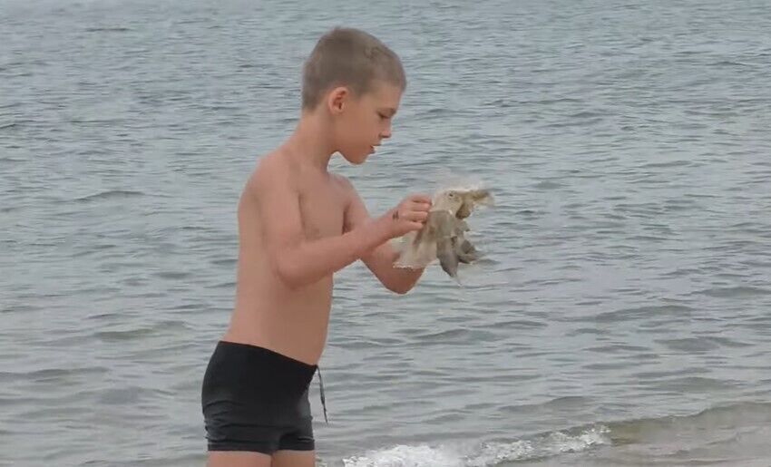 Мальчик поймал огромную медузу.