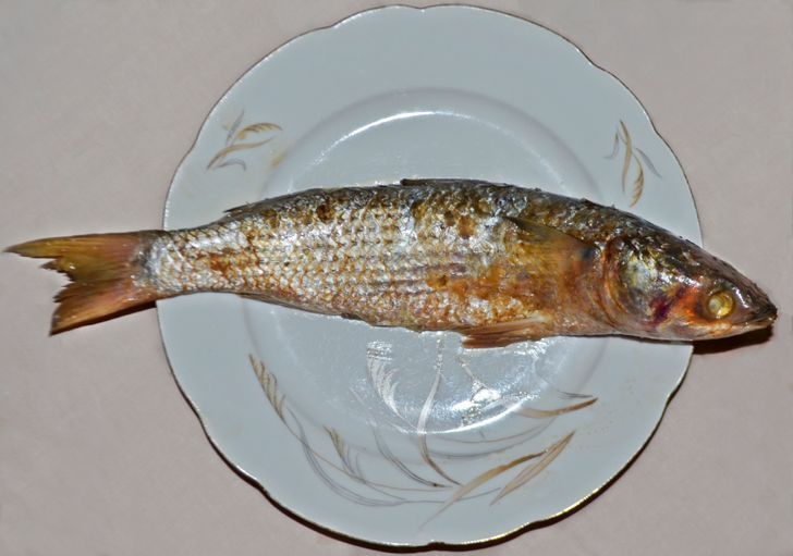 В Египте кормят туристов опасной рыбой.