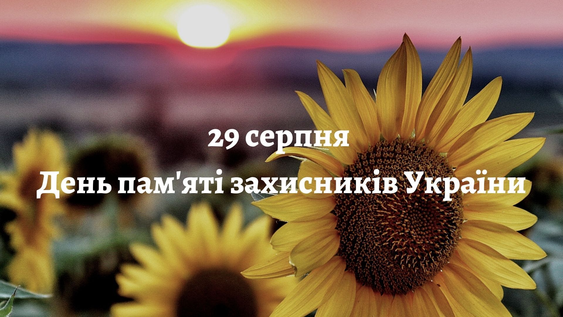 День пам'яті захисників України відзначається 29 серпня