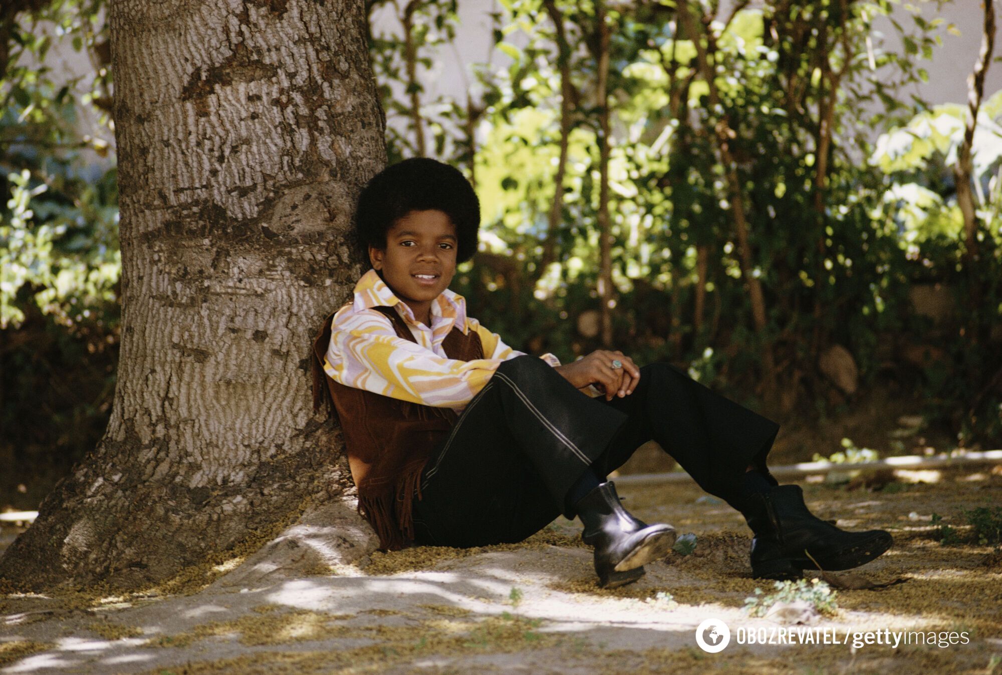Майкл Джексон у юності.