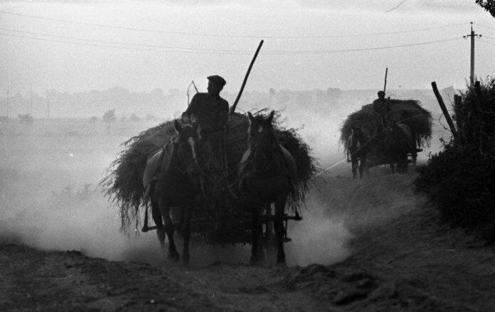 В конце 20-х годов жители сел стали массово бежать в города от коллективизации