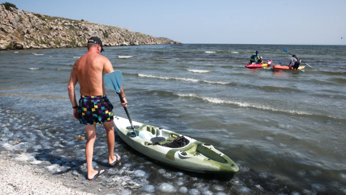 Медузы на берегу Азовского моря