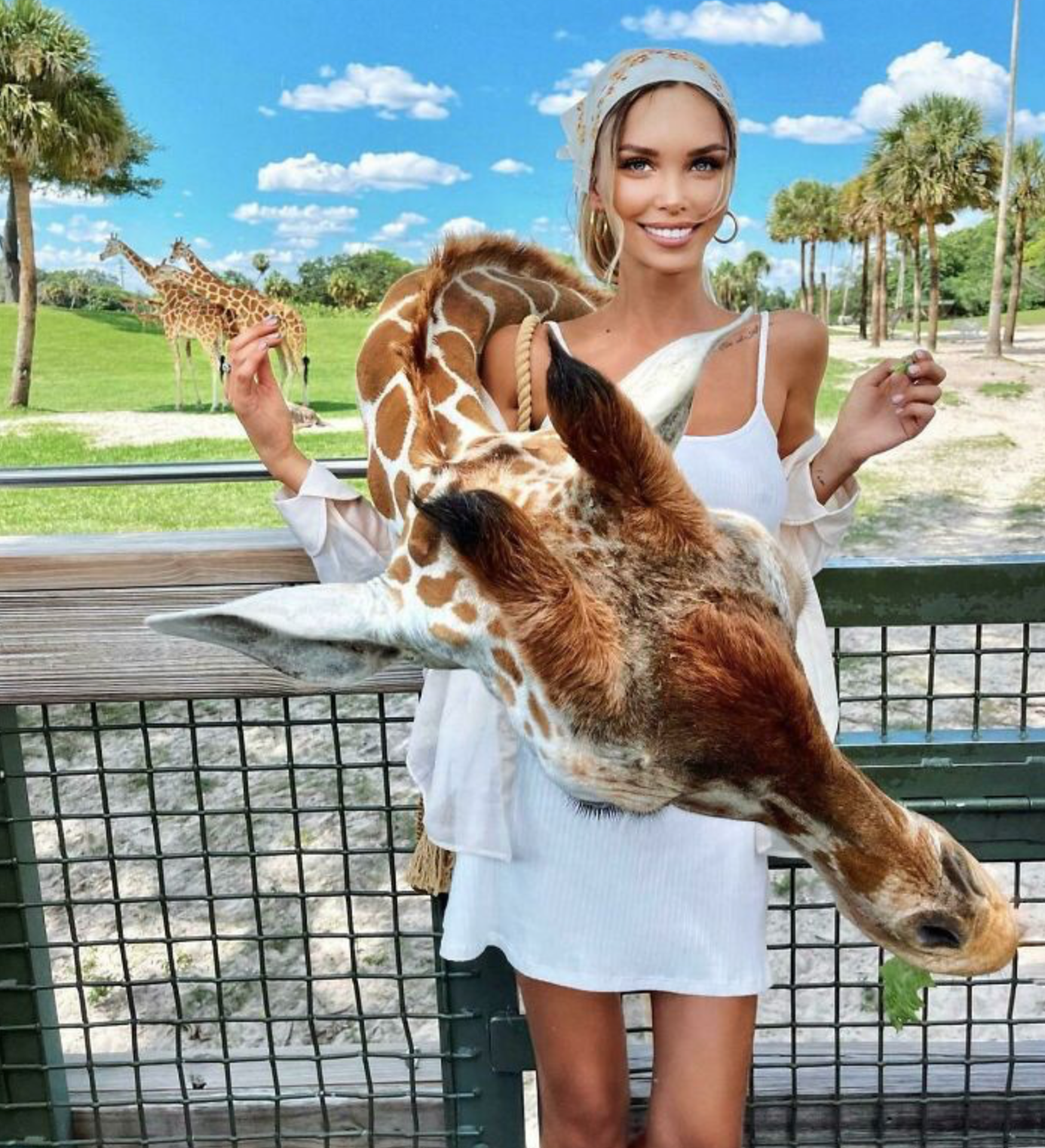 Дівчина додала фотошопу навіть для жирафи