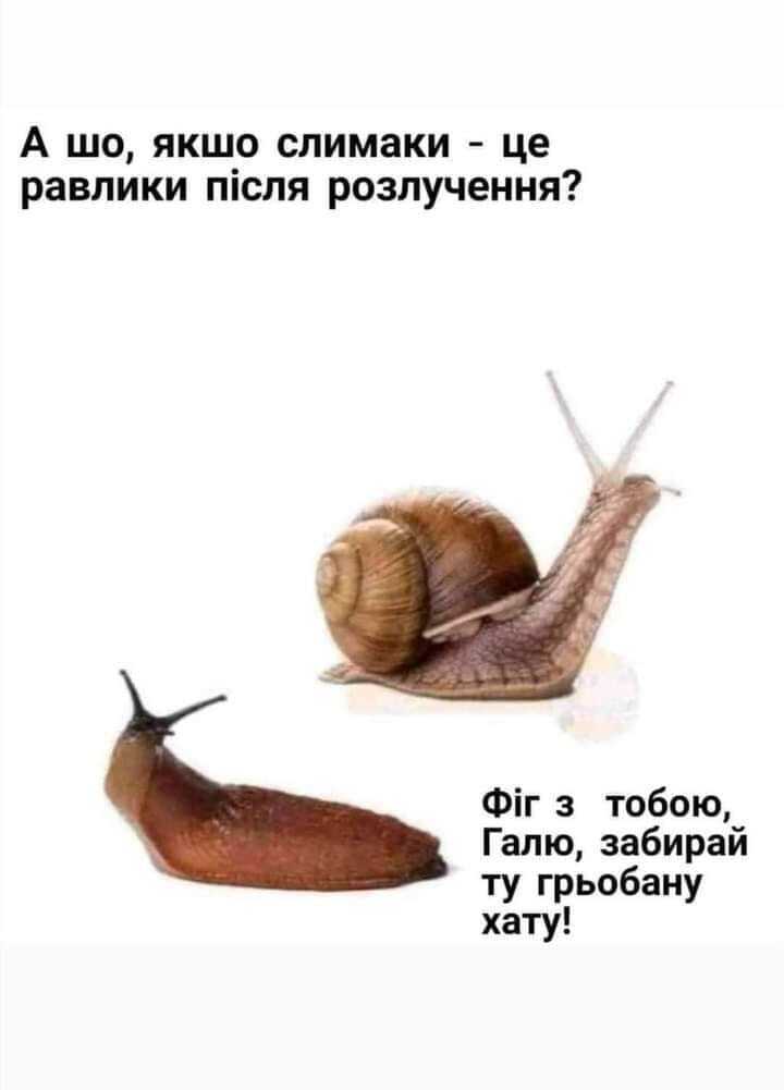 Шутка о слизнях и улитках