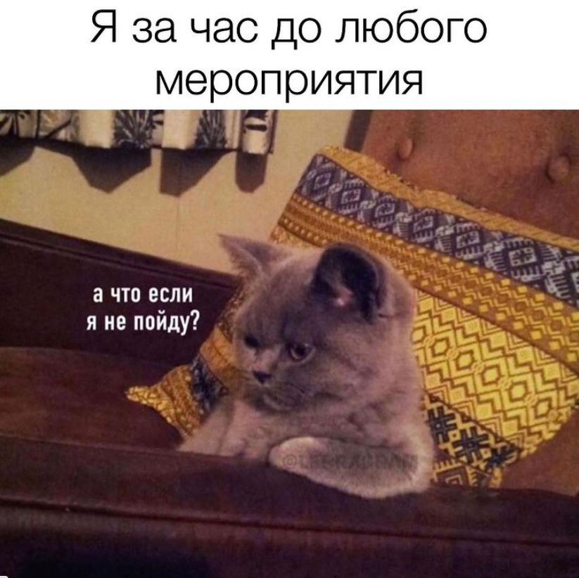 Анекдоты дня: приколы и мемы за 5 августа