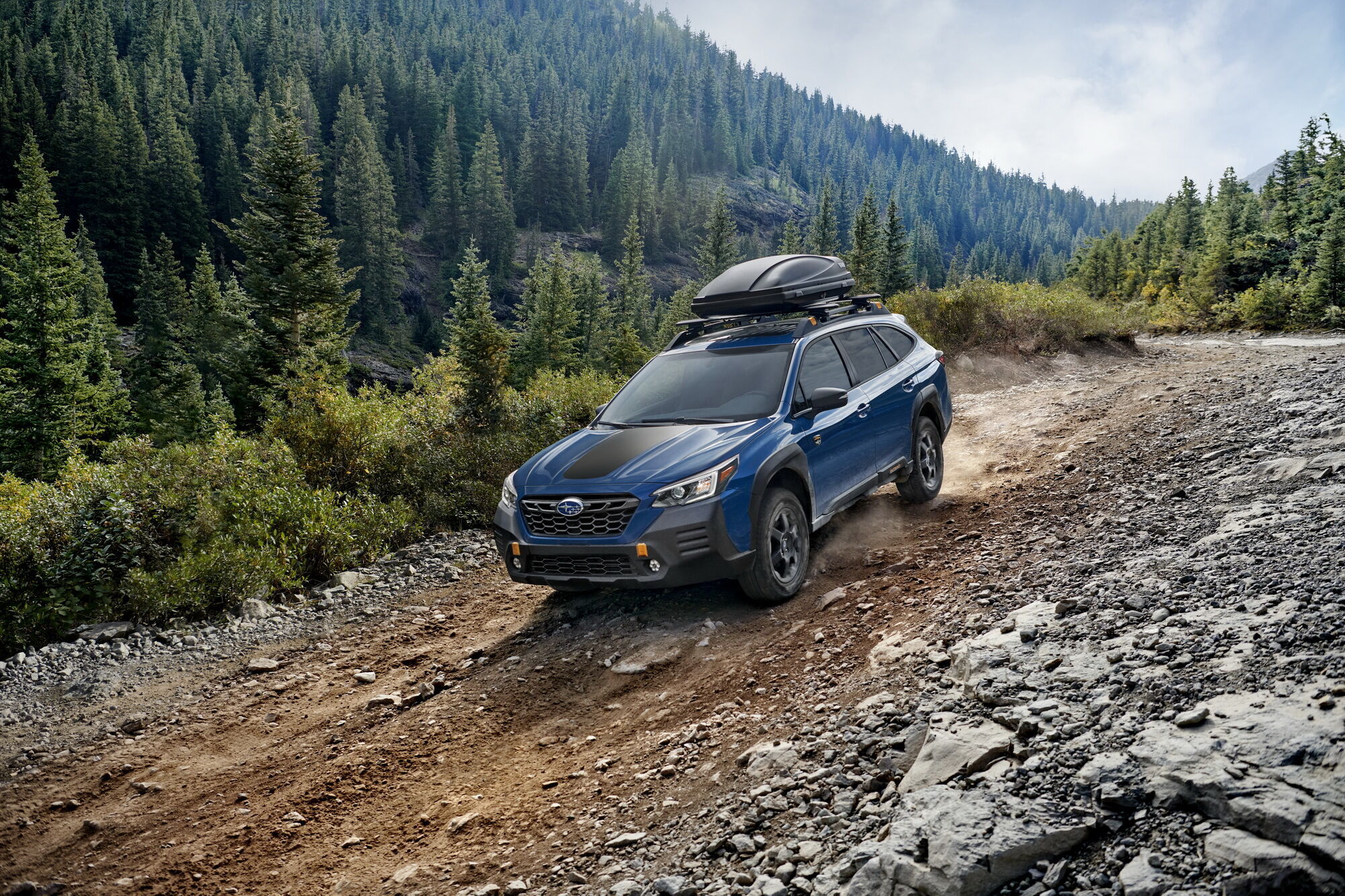 Subaru Outback Wilderness