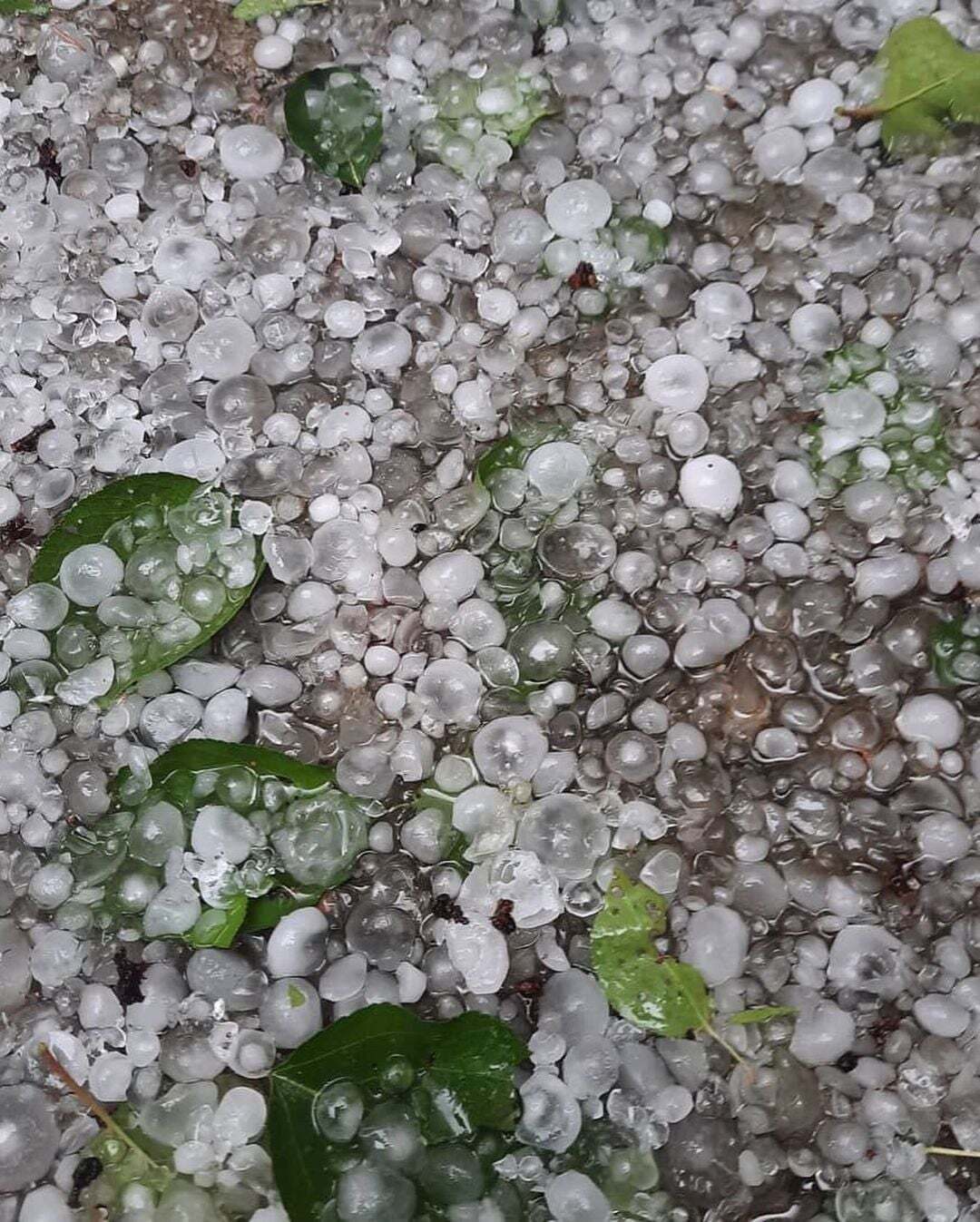 У Харкові випав град.