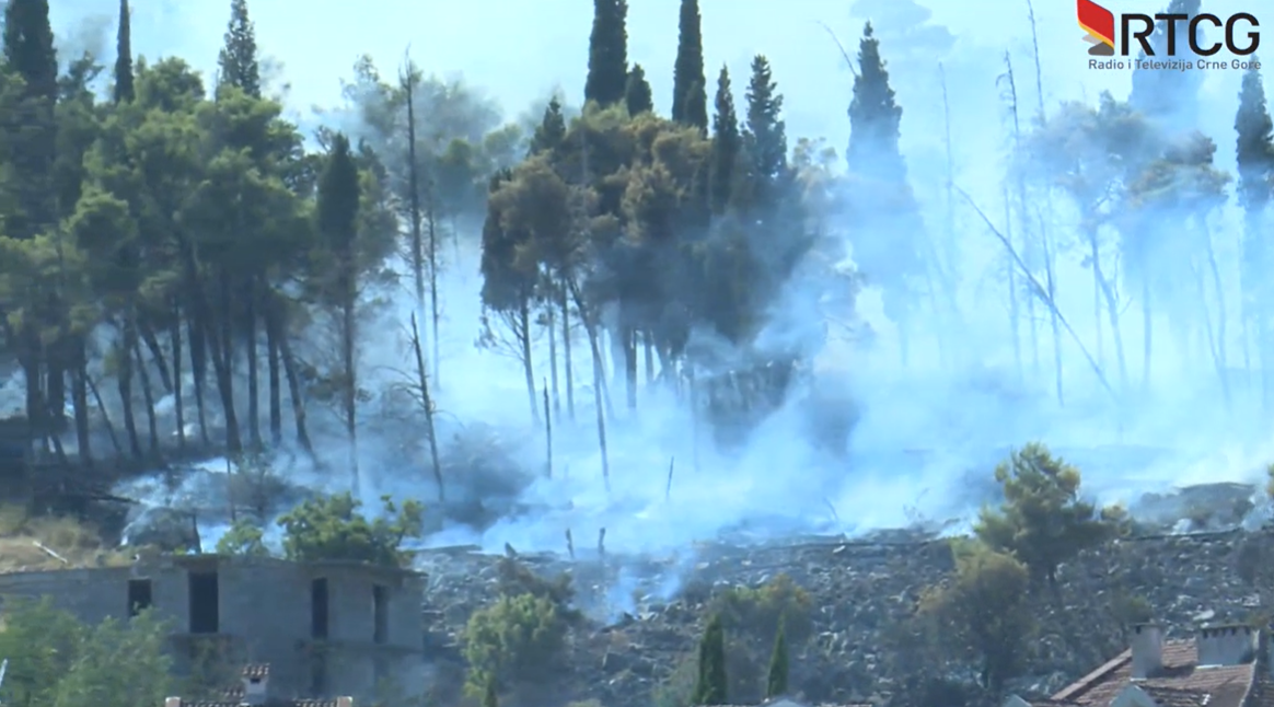 Лесные пожары в Черногории