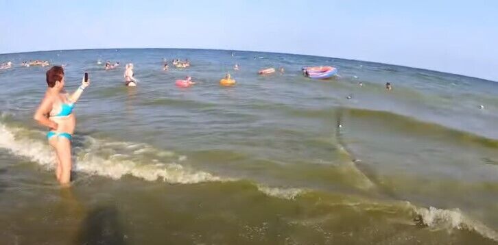 Люди купаются, несмотря на водоросли