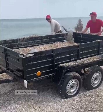 Медуз у Кирилівці прибирають лопатами