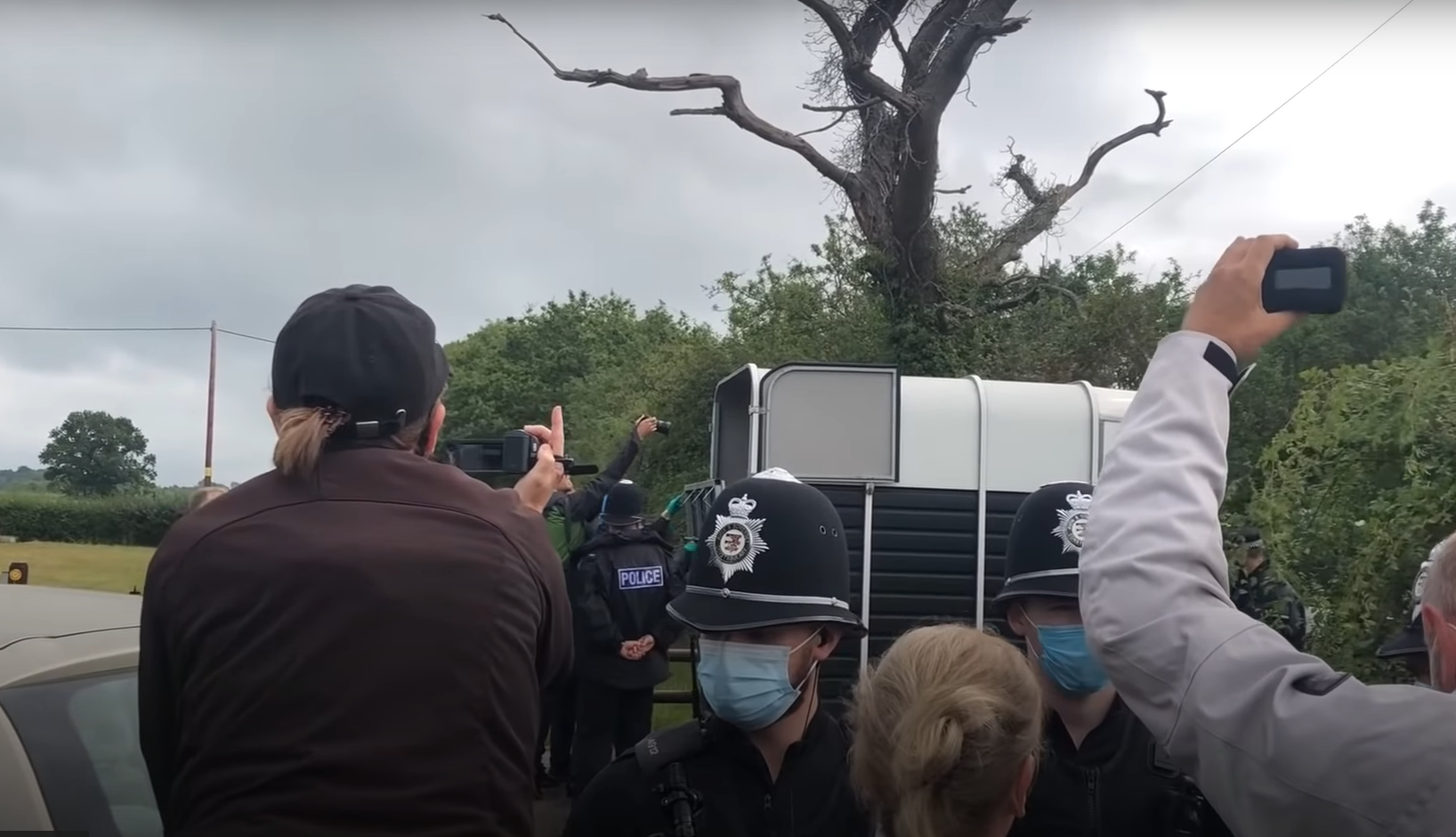 Альпаку завантажили в машину.