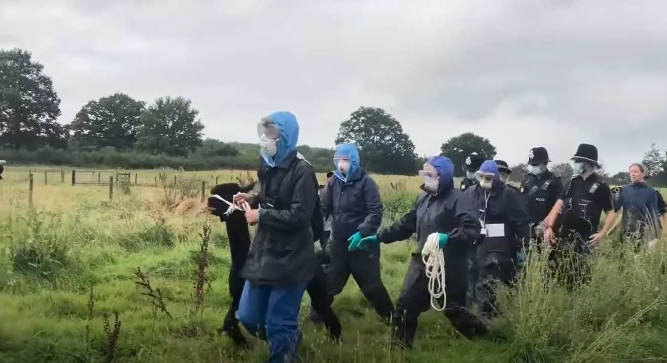 Джеронімо забирають із ферми.