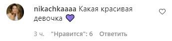 Пользователям сети очень понравился необычный лук Каменских