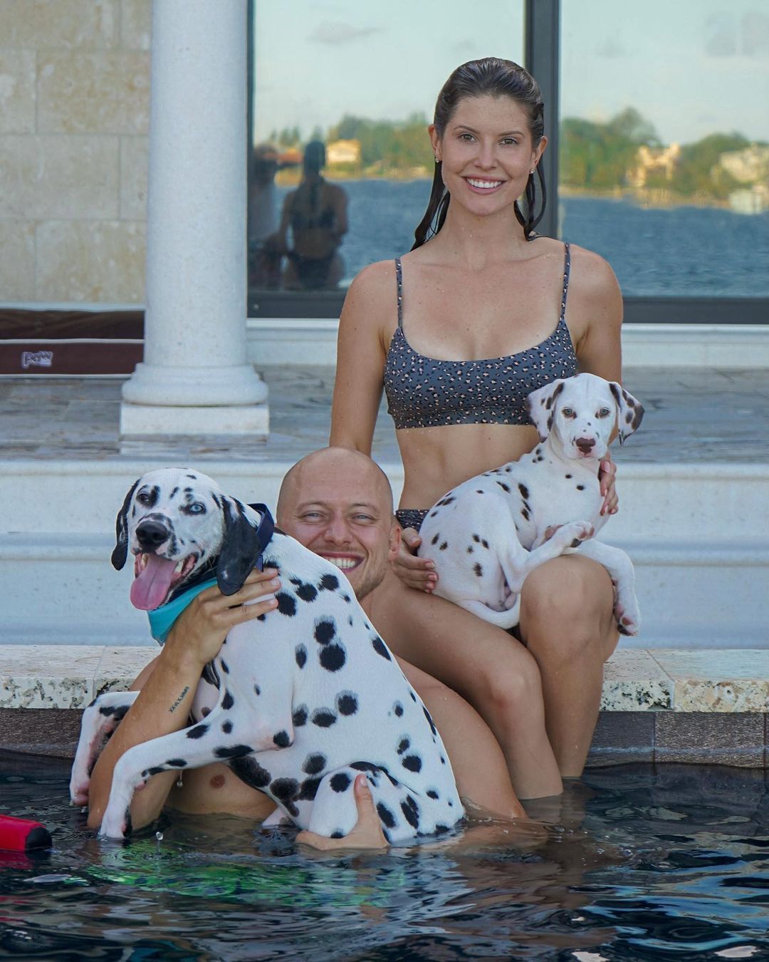 Аманда Черні з собаками